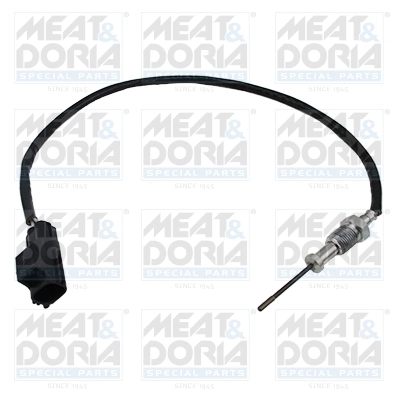 Sensor, exhaust gas temperature